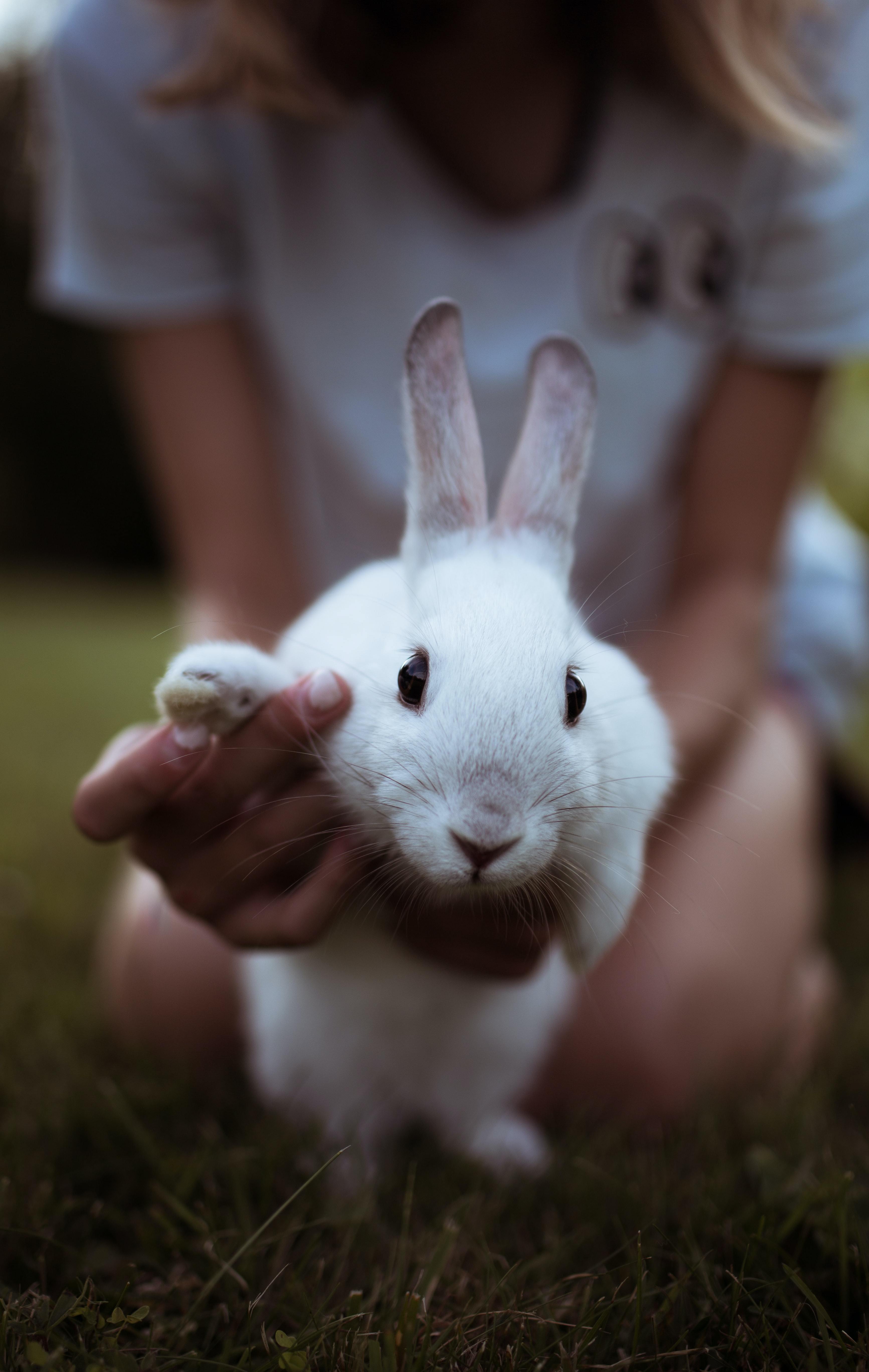 15 Cruelty Free Makeup Brands You Should Know