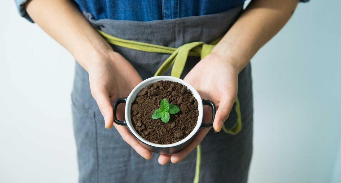 How to Make Compost at Home