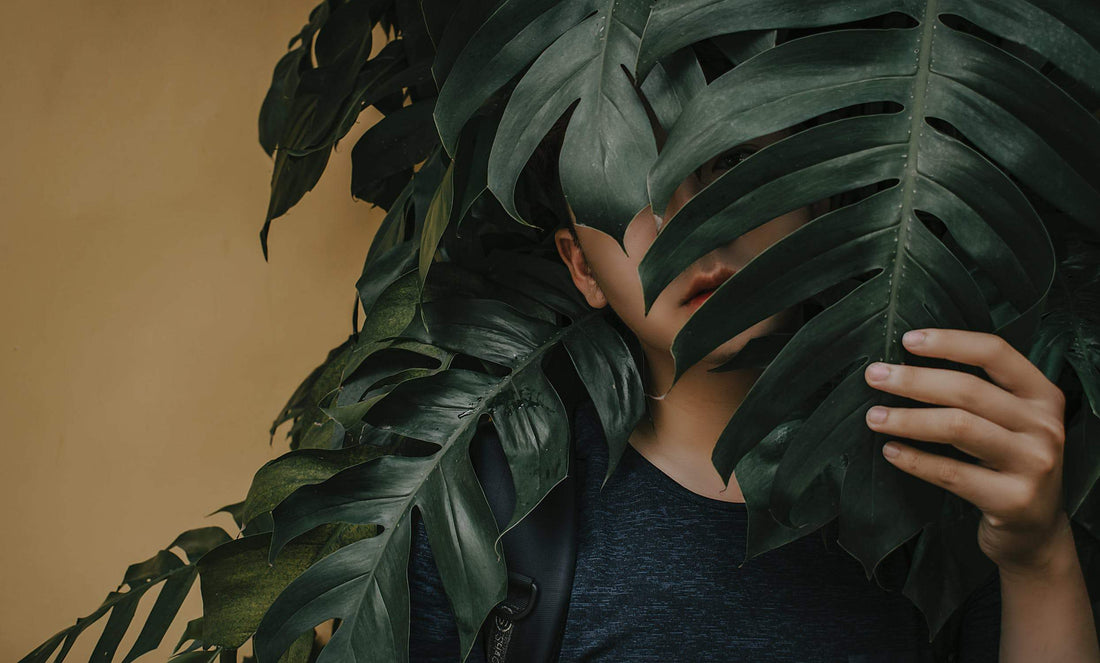 The Hidden Impacts of Zero Waste Solutions